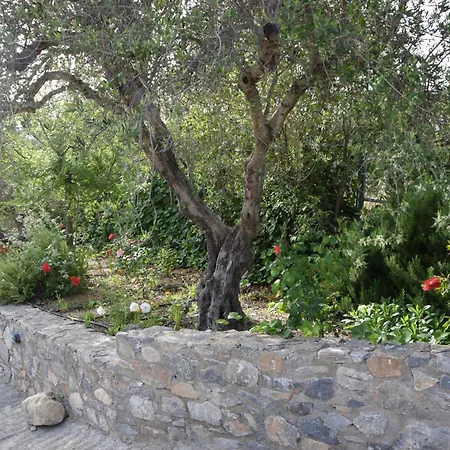 Melissa Holiday home Agia Semni